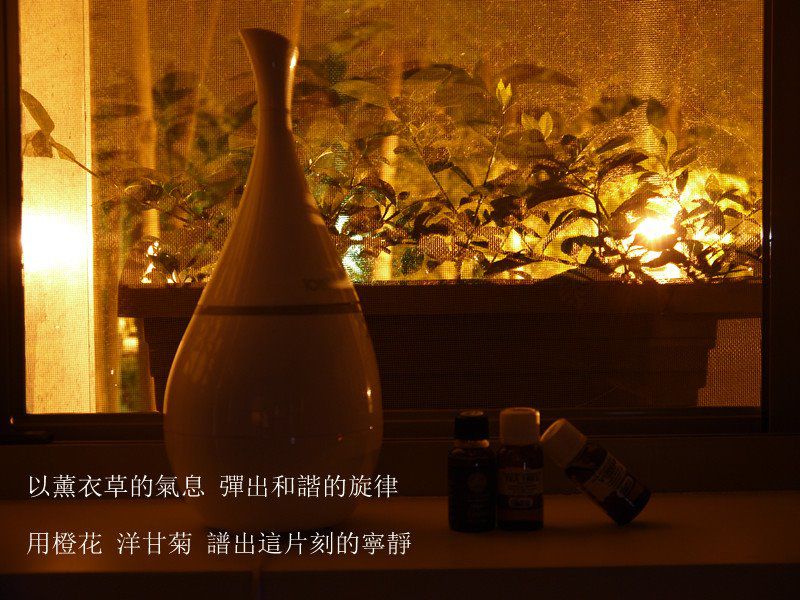 你想要一個甚麼樣的........夜呢?
