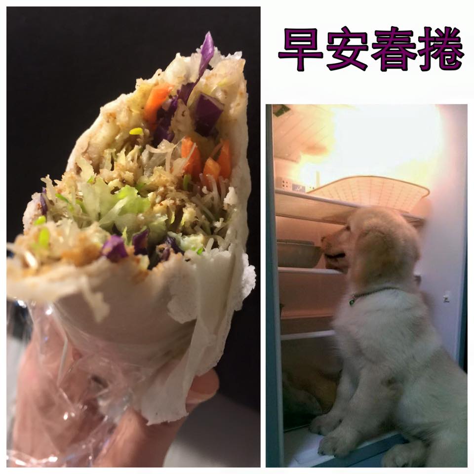 早安春捲